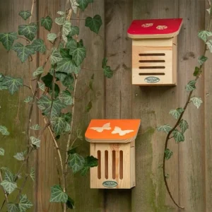 ESSCHERT DESIGN Abri à Abeilles Bois FSC Réductions 10