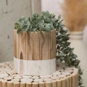 site en ligne TODAY Cache Pot En Bois Beige 9