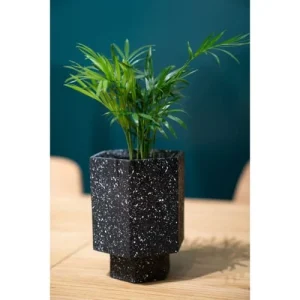 Zago Cache-pot En Terrazzo Noir magasin 10