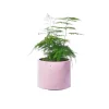 Junny Cache-pot Xxl En Béton Rose Pastel Neuve avec étiquette 19