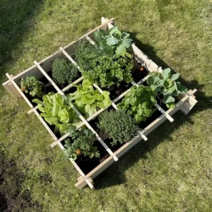 acheter en ligne Alice’s Garden Carré Potager 90×90, Epeautre – Potager En Bois 10