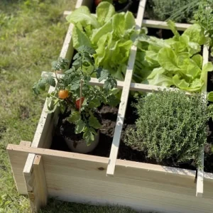 acheter en ligne Alice’s Garden Carré Potager 90×90, Epeautre – Potager En Bois 16