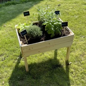 Alice’s Garden Carré Potager Pour Enfants, Sur Pieds En Bois De Pin Canadien – acheter 10