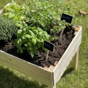 Alice’s Garden Carré Potager Pour Enfants, Sur Pieds En Bois De Pin Canadien – acheter 16