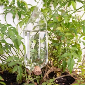 KIKKERLAND Cristal Irrigant Pour Plantes pas cher marque 11