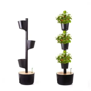 Retour gratuit en magasin. Citysens Jardin D’intérieur 3 Bacs Noir Avec Arrosage Automatique Polypropylène 12