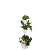 Citysens Jardin D’intérieur Avec 3 Plantes Placides Bleues Et Arrosage Auto a Prix Discount 22