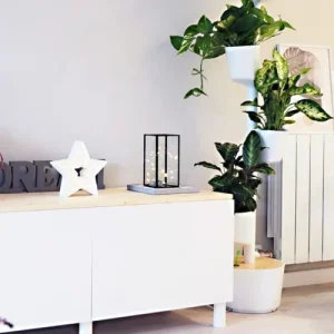 Citysens Jardin D’intérieur Avec 3 Plantes Placides Bleues Et Arrosage Auto a Prix Discount 10