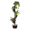 Citysens Jardin D’intérieur Avec 4 Plantes Placides Bleues Et Arrosage Auto soldes ligne 5