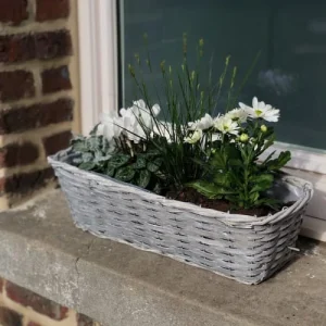 guranteed de qualité Aubry Gaspard Jardinière En Osier Gris Clair 40 Cm 6