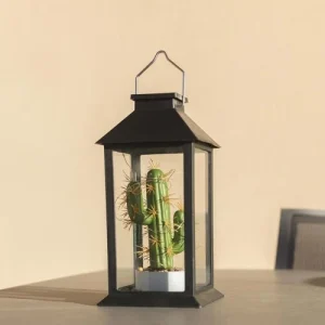 soldes en ligne LUMI JARDIN Lanterne Végétale Solaire Verre Noir H35cm 10