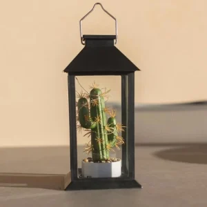 soldes en ligne LUMI JARDIN Lanterne Végétale Solaire Verre Noir H35cm 12