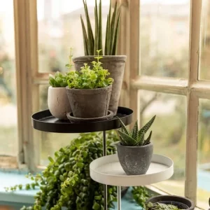 ESSCHERT DESIGN Lot De 2 Supports Ronds Pour Plantes 18cm boutique en ligne france 12