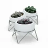 Umbra Lot De 3 Pots Potsy Céramique Blanc grande qualité 7