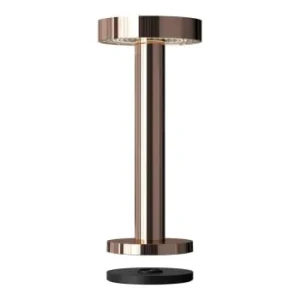 l'unique style Deladeco Luminaire D’extérieur Design En Aluminium Or Rose 20 Cm 18