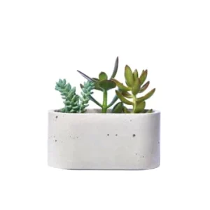 Junny Mini Jardinière En Béton Gris Couleurs variées 18