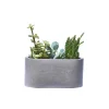 Junny Mini Jardinière En Béton Gris Couleurs variées 11