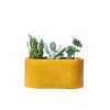 Junny Mini Jardinière En Béton Jaune l'unique style 5