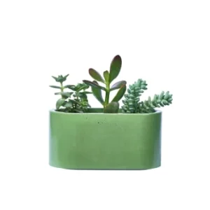 Junny Mini Jardinière En Béton Gris Couleurs variées 16