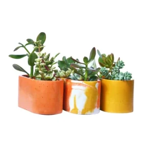 Meilleur Service Junny Mini Jardinière Tie&dye En Béton Orange Et Jaune 12