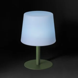 Oviala Mini Lampe Polyéthylène Vert Cactus pas cher 10