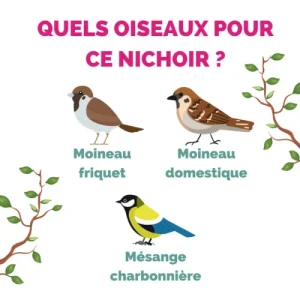 Couleurs variées Prêt à Jardiner Nichoir Pour Oiseaux Ouverture 28 Ou 32mn 6