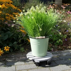 ESSCHERT DESIGN Support Plantes à Roulettes Gris 28 Cm grande marque pas cher 12