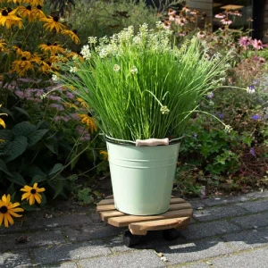 ESSCHERT DESIGN Support Plantes à Roulettes Rond 29 Cm luxe soldes 12