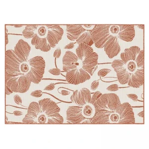 comparez les prix Oviala Tapis D’extérieur En Polypropylène 160 X 230 Cm Terracotta 10