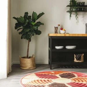 Benuta Tapis D’extérieur & Intérieur Rond Multicouleur D 160 pas cher marque 14