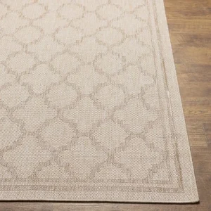 grossiste en ligne Surya Tapis Extérieur Et Intérieur – Vanille Et Beige – 157x213cm 18