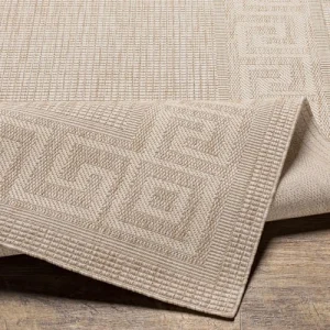 Meilleur Prix Surya Tapis Extérieur Et Intérieur – Vanille Et Beige – 157x213cm 16