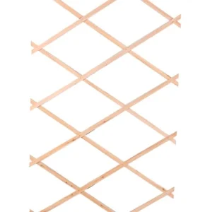 Livraison Standard/Rapide Wadiga Treillis En Bois Extensible Pour Plantes Grimpantes – 180x90x0.7cm 6